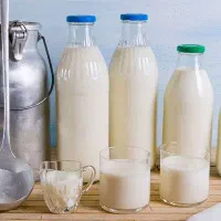 لبنیات محلی تازه طعم واقعی روستا