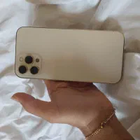 آیفون۱۲پرومکس ۲۵۶گیگ