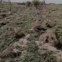 زمین