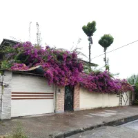 ویلای ساحلی ۱۰۰ متری