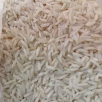 برنج شیرودی