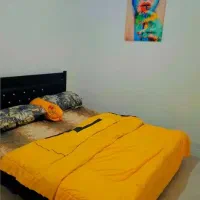 اجاره روزانه پاره وقت.کد2 هتلی)دربست