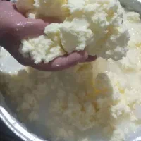کره حیوانی کره محلی درجه یک