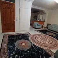 دو عدد فرش ماشینی طرح ورساچه