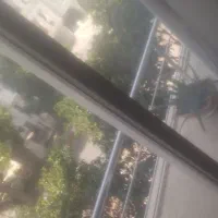 همخونه زوج کاپل