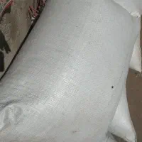 فروش عدس و گندم اردبیل دیم