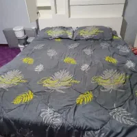 تخت