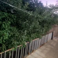 دربست نصرآباد پیشکوه