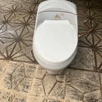 توالت فرنگی سالم