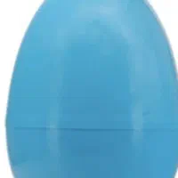 نیروی خانم