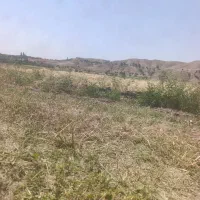 فروش کاه گندم جو بسته بندی شده