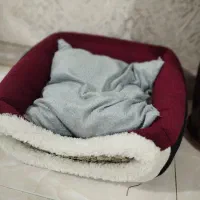 خانه جای خواب گربه و سگ