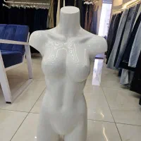 مانکن