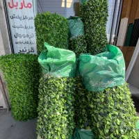 پخش انواع فنس برگی و چمنی به قیمت کارخانه