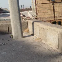کفتر|پرنده|باسمنج, |دیوار