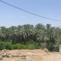 فروش-باغ-ثمری-تفریحی-در-شهر-خاوران