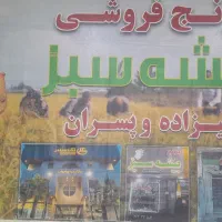 ویزیتور خانم