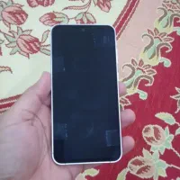 s23 fe