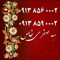 0919.8.24.2004|سیم‌کارت|اصفهان, تیران|دیوار