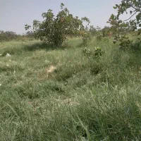 فقط به این شماره تماس بگیرین