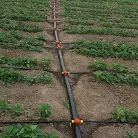 آبیاری قطره ای  باغ و باغچه، کشاورزی