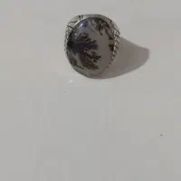 انگشتر شجر...ساعت مچی