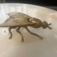مگس برنزی یا برنجی