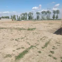 زمین باغچه رباط کریم سند تک برگ|فروش زمین و ملک کلنگی|تهران, امامزاده حسن(ع)|دیوار