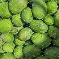 انبه برای ترشی بالاتراز ۲۰کیلو ۱۴۰تومان درمنزل