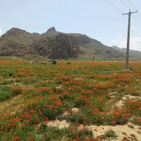 فروش-زمین-300-متری