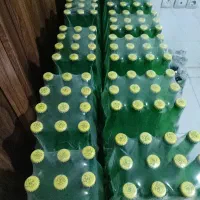فروش دونه ای لیموناد