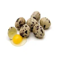 تخم خوراکی بلدرچین