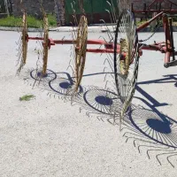 ریگ لای کن نوروزی تهران