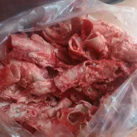 غذای سگ