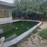 باغ-ویلا-قلعه-سفید-گلدشت