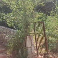 باغچه-در-امامه-بالا-حسین-راه