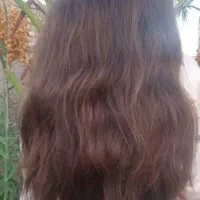 بلندگیسو