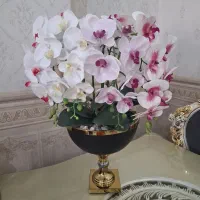 گلدان ارکیده