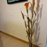آباژور