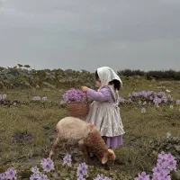 زمین ۲۱هکتاری سرجنگل