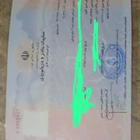 مجوز تفریحی