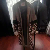 پالتوپلنگی