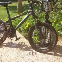 دو عدد دوچرخه