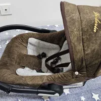 کریر نوزاد دلیجان