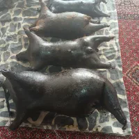 هیزه|خوردنی و آشامیدنی|کلاشی, |دیوار