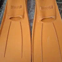 فین شنا