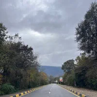 زمین-1000-متر-با-بنای-تجاری-بر-اصلی-کمربندی-نوشهر