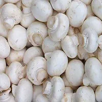 قارچ دکمه ای