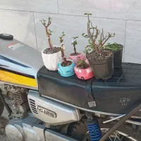 موتر مدل ۸۸