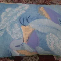 ۵عدد بالش پر نو